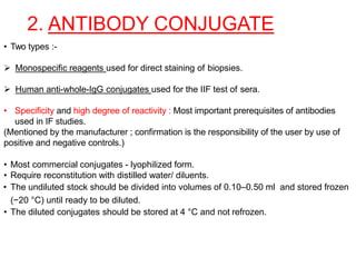 2. ANTIBODY CONJUGATE
• Two types :-
 Monospecific reagents used for direct staining of biopsies.
 Human anti-whole-IgG conjugates used for the IIF test of sera.
• Specificity and high degree of reactivity : Most important prerequisites of antibodies
used in IF studies.
(Mentioned by the manufacturer ; confirmation is the responsibility of the user by use of
positive and negative controls.)
• Most commercial conjugates - lyophilized form.
• Require reconstitution with distilled water/ diluents.
• The undiluted stock should be divided into volumes of 0.10–0.50 ml and stored frozen
(−20 °C) until ready to be diluted.
• The diluted conjugates should be stored at 4 °C and not refrozen.
 