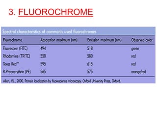 3. FLUOROCHROME
 