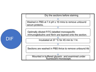 DIF
Dry the sections before staining.
Sections are washed in PBS thrice to remove unbound Ab
Mounted in buffered glycerin and examined under
fluorescent microscope.
Washed in PBS at 7.4 pH x 10 mins to remove unbound
serum proteins.
Optimally diluted FITC-labelled monospecific
immunoglobulins and fibrin are layered onto the section.
Incubated at 37 °C for 45 min to 1 hr.
 