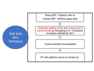 Direct SST - Patient’s skin &
Indirect SST - NHS/on glass slide
IIF with patient’s serum is carried out
Artificially splitting of the skin at the level of
lamina lucida by incubating it in 1 M solution
of sodium chloride for 24 h
SALT SPLIT SKIN
TECHNIQU
E (SST)
Cryocut sections are prepared
Salt Split
Skin
Technique
 