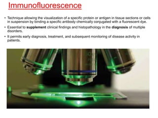 Immunofluorescence
• Technique allowing the visualization of a specific protein or antigen in tissue sections or cells
in suspension by binding a specific antibody chemically conjugated with a fluorescent dye.
• Essential to supplement clinical findings and histopathology in the diagnosis of multiple
disorders.
• It permits early diagnosis, treatment, and subsequent monitoring of disease activity in
patients.
 