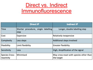 Direct vs. Indirect
Immunofluorescence
 