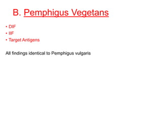 B. Pemphigus Vegetans
• DIF
• IIF
• Target Antigens
All findings identical to Pemphigus vulgaris
 