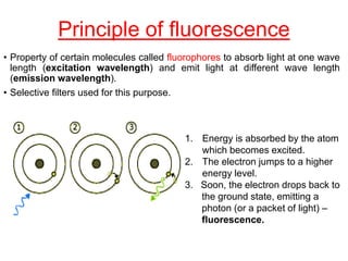 Principle of fluorescence
• Property of certain molecules called fluorophores to absorb light at one wave
length (excitation wavelength) and emit light at different wave length
(emission wavelength).
• Selective filters used for this purpose.
1. Energy is absorbed by the atom
which becomes excited.
2. The electron jumps to a higher
energy level.
3. Soon, the electron drops back to
the ground state, emitting a
photon (or a packet of light) –
fluorescence.
 