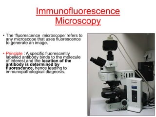 Immunofluorescence
Microscopy
• The ‘fluorescence microscope’ refers to
any microscope that uses fluorescence
to generate an image.
• Principle : A specific fluorescently
labelled antibody binds to the molecule
of interest and the location of the
antibody is determined by
fluorescence, hence leading to
immunopathological diagnosis.
 