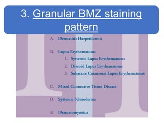 3. Granular BMZ staining
pattern
 