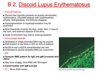 B.2. Discoid Lupus Erythematosus
• Clinical Features
■ Discoid rash typically presents as sharply demarcated,
erythematous, indurated plaques with hyperkeratosis,
atrophy, telangiectasia, and follicular plugging
■ Hypopigmentation or hyperpigmentation may be
prominent
■ Most frequently involves the face, scalp, ears, V area of
the neck, and extensor aspects of the arms
■ Scalp involvement may lead to scarring alopecia
• Immunologic disorder
■ Antibodies to single-stranded DNA may be present
■ ANA present in low titers in 30% to 40% of patients
■ Ro/SS-A and La/SS-B autoantibodies are rare
■ Antibodies to double-stranded DNA are uncommon
• DIF
■ Granular BMZ pattern for IgG and IgM (involved skin
>90%)
■ May have shaggy, thick BMZ with fibrinogen
■ Cytoid bodies with IgM and IgA
• IIF : None (ANA rarely)
 