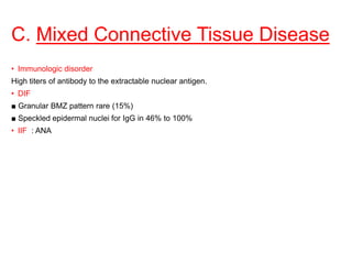 C. Mixed Connective Tissue Disease
• Immunologic disorder
High titers of antibody to the extractable nuclear antigen.
• DIF
■ Granular BMZ pattern rare (15%)
■ Speckled epidermal nuclei for IgG in 46% to 100%
• IIF : ANA
 