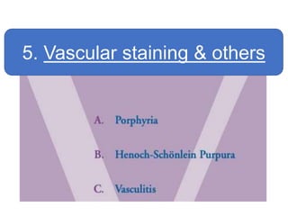 5. Vascular staining & others
 
