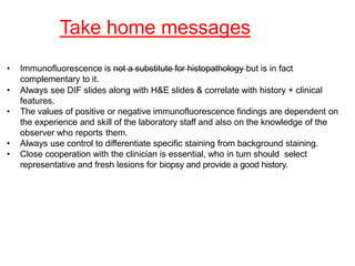 Take home messages
• Immunofluorescence is not a substitute for histopathology but is in fact
complementary to it.
• Always see DIF slides along with H&E slides & correlate with history + clinical
features.
• The values of positive or negative immunofluorescence findings are dependent on
the experience and skill of the laboratory staff and also on the knowledge of the
observer who reports them.
• Always use control to differentiate specific staining from background staining.
• Close cooperation with the clinician is essential, who in turn should select
representative and fresh lesions for biopsy and provide a good history.
 