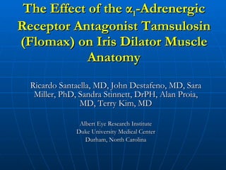The Effect of the  α 1 -Adrenergic Receptor Antagonist  Tamsulosin (Flomax) on Iris Dilator Muscle Anatomy Ricardo Santaella, MD, John Destafeno, MD, Sara Miller, PhD, Sandra Stinnett, DrPH, Alan Proia, MD, Terry Kim, MD Albert Eye Research Institute Duke University Medical Center Durham, North Carolina 