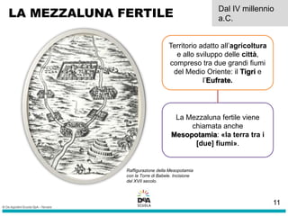 LA MEZZALUNA FERTILE Dal IV millennio
a.C.
Raffigurazione della Mesopotamia
con la Torre di Babele. Incisione
del XVII secolo.
Territorio adatto all’agricoltura
e allo sviluppo delle città,
compreso tra due grandi fiumi
del Medio Oriente: il Tigri e
l’Eufrate.
La Mezzaluna fertile viene
chiamata anche
Mesopotamia: «la terra tra i
[due] fiumi».
11
 