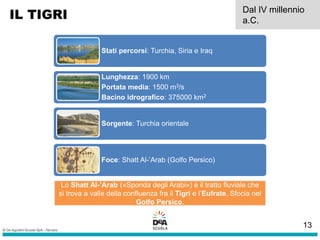 IL TIGRI Dal IV millennio
a.C.
Stati percorsi: Turchia, Siria e Iraq
Lunghezza: 1900 km
Portata media: 1500 m3/s
Bacino idrografico: 375000 km2
Sorgente: Turchia orientale
Foce: Shatt Al-’Arab (Golfo Persico)
Lo Shatt Al-’Arab («Sponda degli Arabi») è il tratto fluviale che
si trova a valle della confluenza fra il Tigri e l’Eufrate. Sfocia nel
Golfo Persico.
13
 