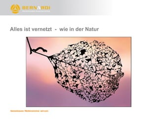 Alles ist vernetzt - wie in der Natur
 