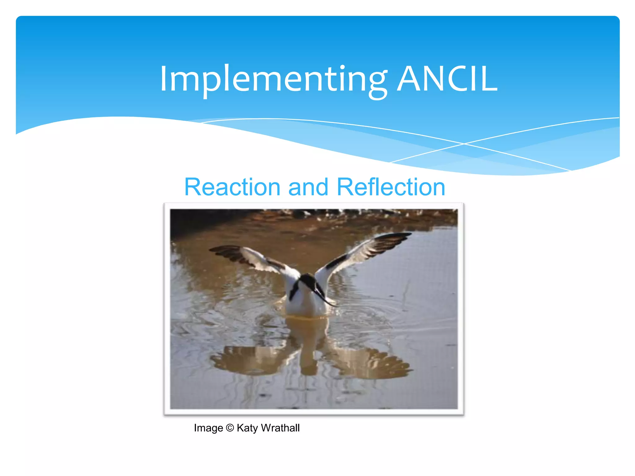 Implementing ANCIL

 Reaction and Reflection




 Image © Katy Wrathall
 