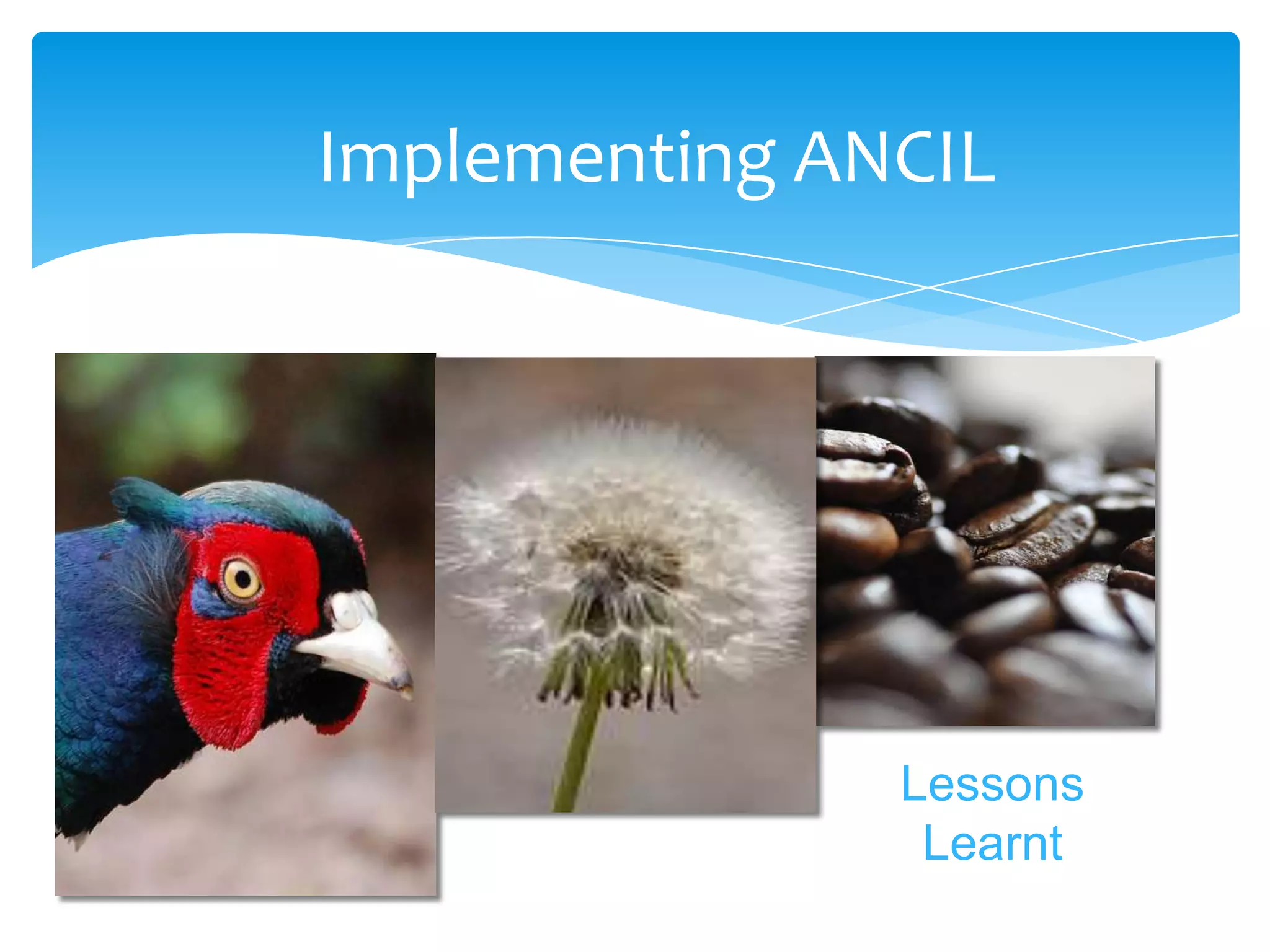 Implementing ANCIL




               Lessons
                Learnt
 