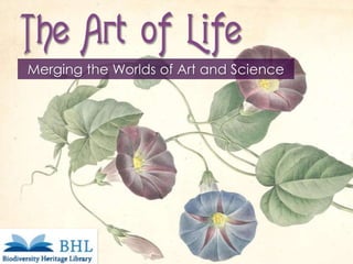Merging the Worlds of Art and Science 
IFLA Section on Science & Technology 
August 19,2014 
 