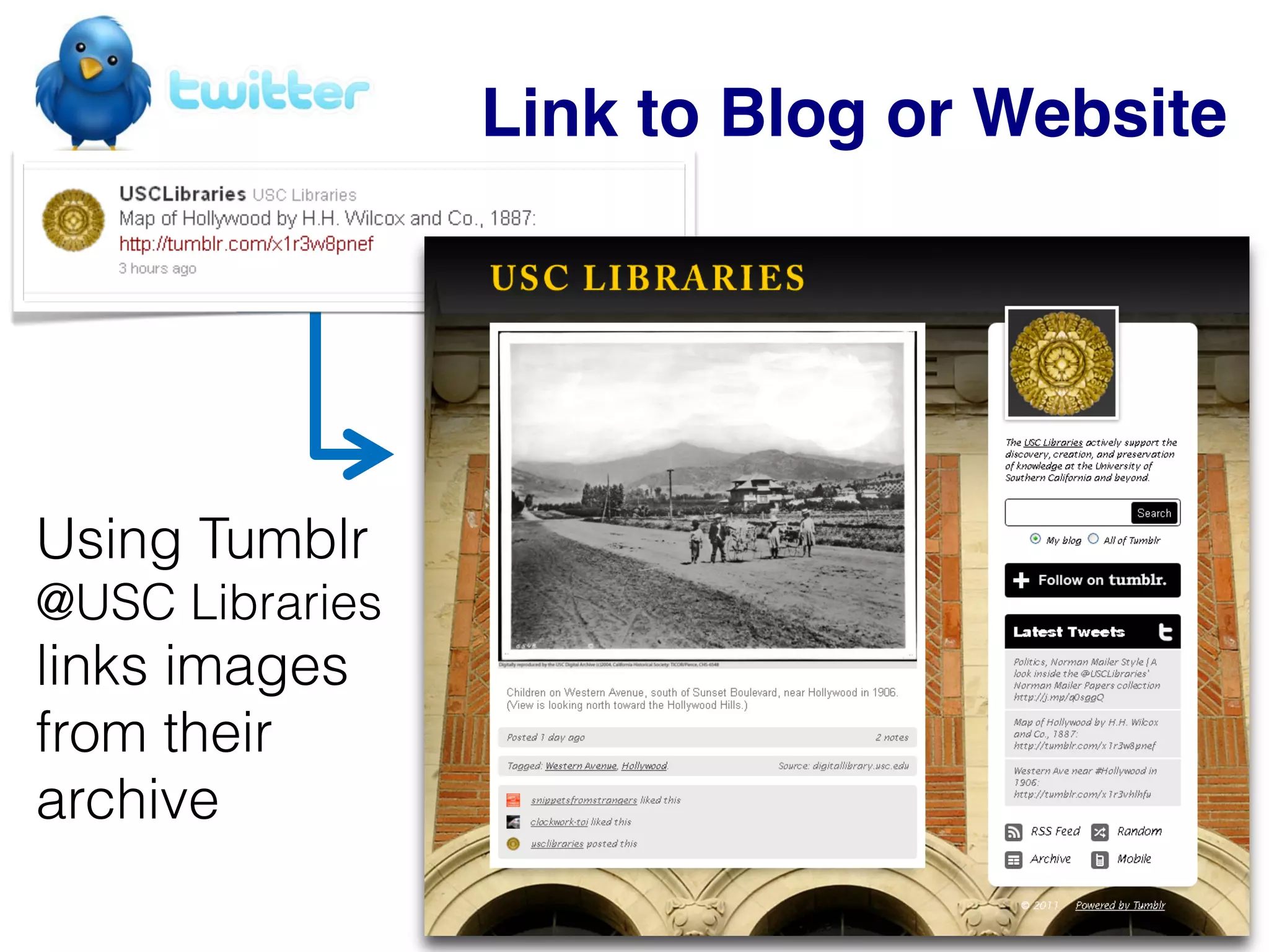 Link to record in Archive
Archive provides user with
metadata and collection info
 