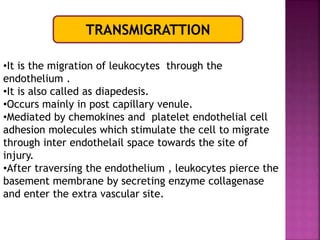 TRANSMIGRATTION
•It is the migration of leukocytes through the
endothelium .
•It is also called as diapedesis.
•Occurs mainly in post capillary venule.
•Mediated by chemokines and platelet endothelial cell
adhesion molecules which stimulate the cell to migrate
through inter endothelail space towards the site of
injury.
•After traversing the endothelium , leukocytes pierce the
basement membrane by secreting enzyme collagenase
and enter the extra vascular site.
 