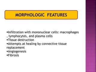 MORPHOLOGIC FEATURES
Infiltration with mononuclear cells: macrophages
, lymphocytes, and plasma cells
Tissue destruction
Attempts at healing by connective tissue
replacement
Angiogenesis
Fibrosis
 