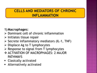 CELLS AND MEDIATORS OF CHRONIC
INFLAMMATION
1) Macrophages:
 Dominant cell of chronic inflammation
 Initiates tissue repair
 Secrete inflammatory mediators (IL-1, TNF)
 Displace Ag to T lymphocytes
 Response to signal from T lymphocytes
 ACTIVATION OF MACROPHAGES: 2 MAJOR
PATHWAYS
 Clasically activated
 Alternatively activated
 