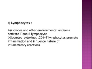 2) Lymphocytes :
Microbes and other environmental antigens
activate T and B lymphocyte
Secretes cytokines ,CD4+T lymphocytes promote
inflammation and influence nature of
inflammatory reactions
 