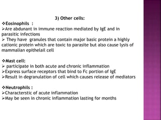3) Other cells:
Eosinophils :
Are abdunant in immune reaction mediated by IgE and in
parasitic infections
 They have granules that contain major basic protein a highly
cationic protein which are toxic to parasite but also cause lysis of
mammalian epithelail cell
Mast cell:
 participate in both acute and chronic inflammation
Express surface receptors that bind to Fc portion of IgE
Result in degranulation of cell which causes release of mediators
Neutrophils :
Characterstic of acute inflammation
May be seen in chronic inflammation lasting for months
 