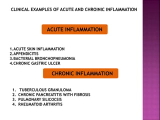 CLINICAL EXAMPLES OF ACUTE AND CHROINIC INFLAMMATION
1.ACUTE SKIN INFLAMMATION
2.APPENDICITIS
3.BACTERIAL BRONCHOPNEUMONIA
4.CHRONIC GASTRIC ULCER
ACUTE INFLAMMATION
CHRONIC INFLAMMATION
1. TUBERCULOUS GRANULOMA
2. CHRONIC PANCREATITIS WITH FIBROSIS
3. PULMONARY SILICOCSIS
4. RHEUMATOID ARTHRITIS
 