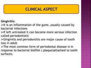 CLINICAL ASPECT
Gingivitis:
It is an inflammation of the gums ,usually caused by
bacterial infections
If left untreated it can become more serious infection
called periodontistis
Gingivitis and periodontitis are major cause of tooth
loss in adult
The most common form of periodontal disease is in
response to bacterial biofilm ( plaque)attached to tooth
surfaces.
 