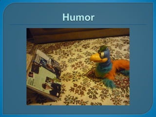 Humor 