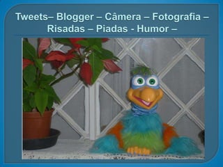 Tweets– Blogger – Câmera – Fotografia – Risadas – Piadas - Humor –