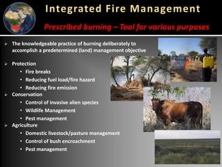 Global wildfires and tropical dry ecosystems: How integrated fire management helps mitigate emissions and their connection with NDCs