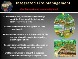 Global wildfires and tropical dry ecosystems: How integrated fire management helps mitigate emissions and their connection with NDCs