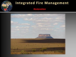 Global wildfires and tropical dry ecosystems: How integrated fire management helps mitigate emissions and their connection with NDCs