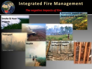 Global wildfires and tropical dry ecosystems: How integrated fire management helps mitigate emissions and their connection with NDCs