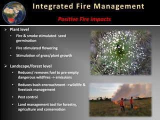Global wildfires and tropical dry ecosystems: How integrated fire management helps mitigate emissions and their connection with NDCs
