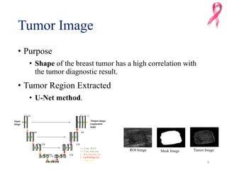 Computer‐Aided Diagnosis of Breast Cancer Using Ensemble Convolutional ...