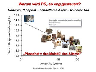 Warum wird PO4 so eng gesteuert?




  „Phosphat = das Molekül des Alterns“



        Kuro-o M Mech Aging Dev 2010;131:270-5
 