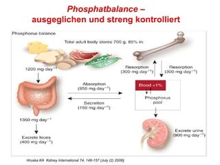 Hruska KA Kidney International 74, 148-157 (July (2) 2008)
 