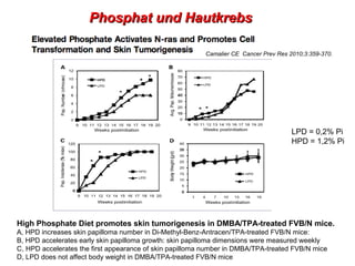 Phosphat und Hautkrebs

                                                         Camalier CE Cancer Prev Res 2010;3:359-370.




                                                                                      LPD = 0,2% Pi
                                                                                      HPD = 1,2% Pi




High Phosphate Diet promotes skin tumorigenesis in DMBA/TPA-treated FVB/N mice.
A, HPD increases skin papilloma number in Di-Methyl-Benz-Antracen/TPA-treated FVB/N mice:
B, HPD accelerates early skin papilloma growth: skin papilloma dimensions were measured weekly
C, HPD accelerates the first appearance of skin papilloma number in DMBA/TPA-treated FVB/N mice
D, LPD does not affect body weight in DMBA/TPA-treated FVB/N mice
 