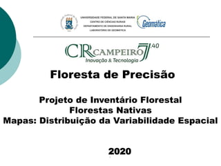 20201
Floresta de Precisão
Projeto de Inventário Florestal
Florestas Nativas
Mapas: Distribuição da Variabilidade Espacial
 