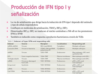    La vía de señalización que dirige hacia la inducción de IFN tipo I depende del estímulo
    y tipo de célula respondedora
   Confluyen en moléculas de señalización, TRAF3, IRF3 y IRF7.
   Dimerizados IRF3 y IRF7 se traslocan al núcleo uniéndose a NK-κB en los promotores
    IFNA e IFNB
   También es inducido como respuesta a productos bacterianos a través de TLRs
 