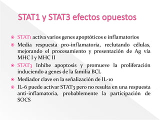  STAT1 activa varios genes apoptóticos e inflamatorios
 Media respuesta pro-inflamatoria, reclutando células,
  mejorando el procesamiento y presentación de Ag vía
  MHC I y MHC II
 STAT3 Inhibe apoptosis y promueve la proliferación
  induciendo a genes de la familia BCL
 Mediador clave en la señalización de IL-10
 IL-6 puede activar STAT3 pero no resulta en una respuesta
  anti-inflamatoria, probablemente la participación de
  SOCS
 