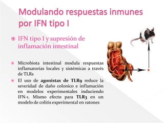    IFN tipo I y supresión de
    inflamación intestinal

   Microbiota intestinal modula respuestas
    inflamatorias locales y sistémicas a través
    de TLRs
   El uso de agonistas de TLR9 reduce la
    severidad de daño colonico e inflamación
    en modelos experimentales induciendo
    IFN-1. Mismo efecto para TLR3 en un
    modelo de colitis experimental en ratones
 