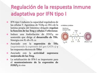    IFN tipo I inducen la capacidad reguladora de
    las células T. Agonistas de TLR9 en DCs de la
    lamina propia del Intestino delgado regulan
    la función de las Treg y células T efectoras
   Induce una fosforilación de STAT4 no
    sostenida que dirige al desarrollo de TH1.
    Sinergia con IL-18 e IL-21
   Asociado con la supresión de TH2
    (suprimiendo la expresión del gen GATA-3) y
    las respuesta efectora de TH17
   Asociado con la actividad supresora
    mejorada de las Treg.
   La señalización de IFN-I es importante para
    el mantenimiento de la expresión de
    FOXP3 in vivo
 