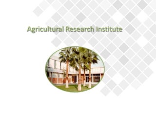 Agricultural Research Institute
 