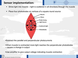 Sensor implementation:
 Shine light into muscle – light is scattered in all directions through the muscle
 Place four photodiodes on vertices of a square round source
Subtract the parallel and perpendicular photocurrents
When muscle is contracted more light reaches the perpendicular photodiodes
– causes a change in output
Use amplifier to give output voltage indicating muscle contraction
25
Ifor Samuel, University of St Andrews
 
