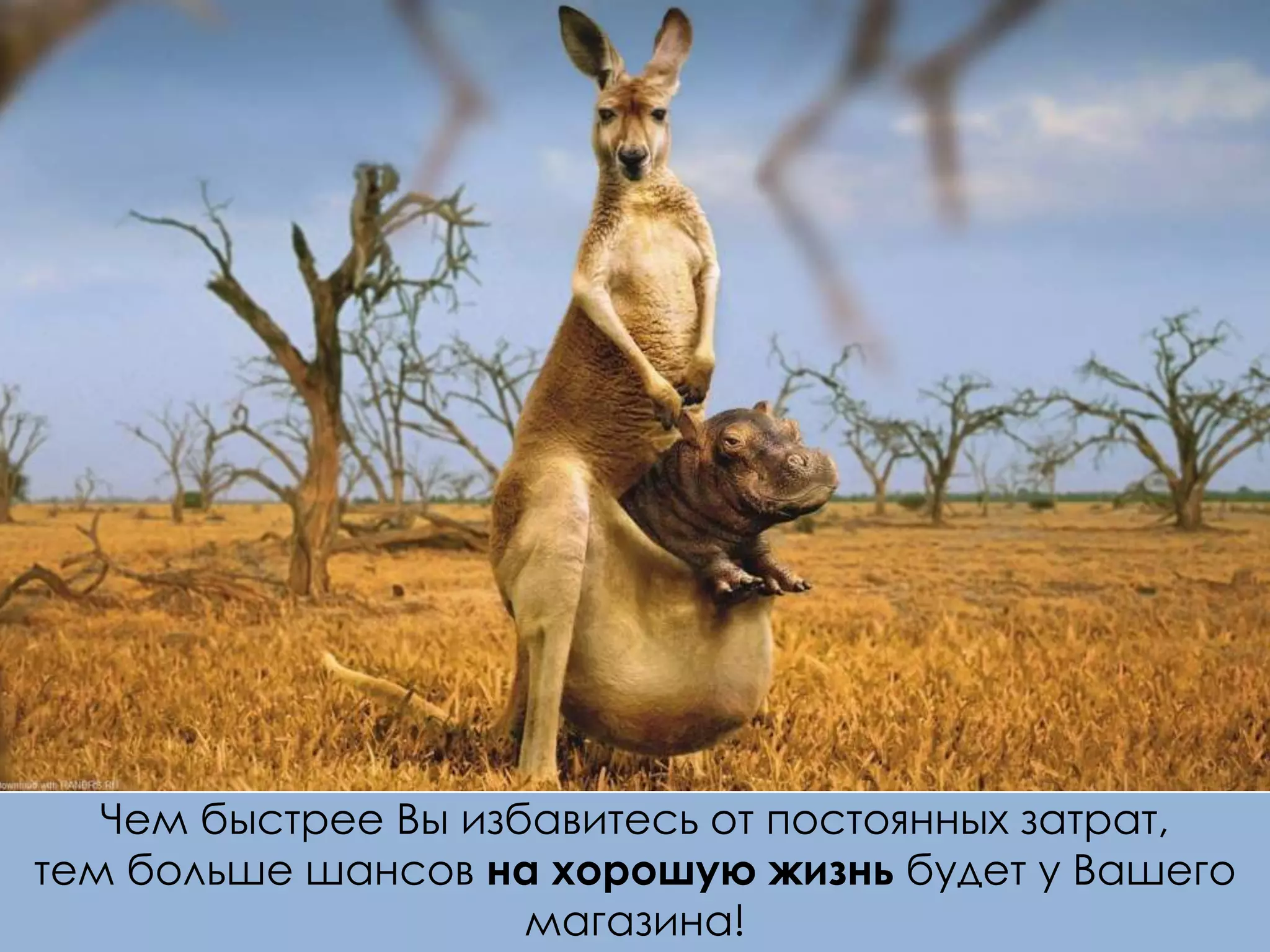 Чем быстрее Вы избавитесь от постоянных затрат,
тем больше шансов на хорошую жизнь будет у Вашего
магазина!
 