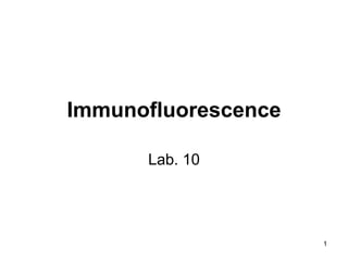 1
Immunofluorescence
Lab. 10
 