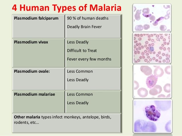Introduction to the Agro-Ecology of Malaria